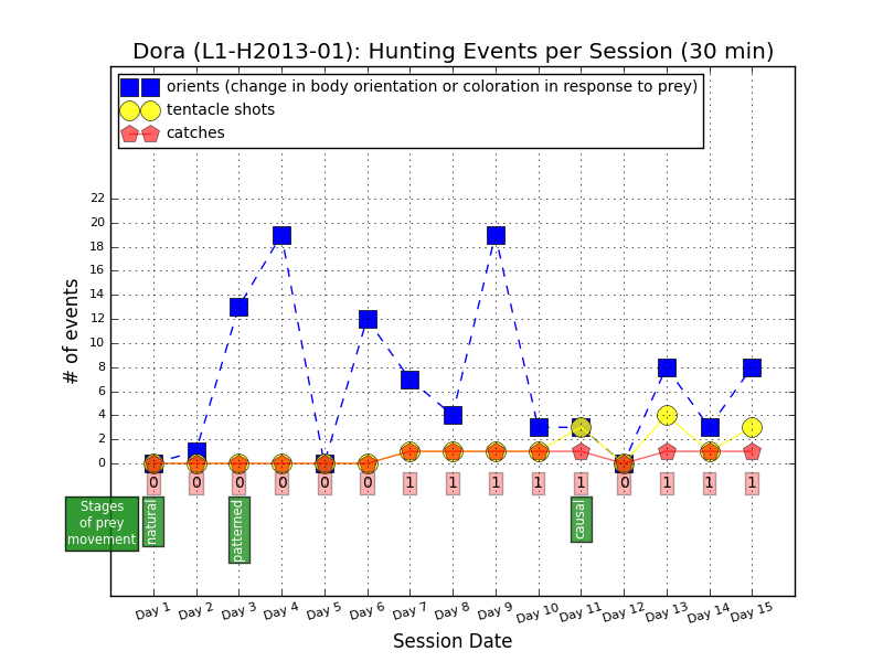 Hunting events by L1-H2013-01, aka Dora