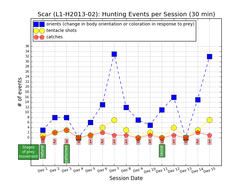 Hunting events by L1-H2013-02, aka Scar