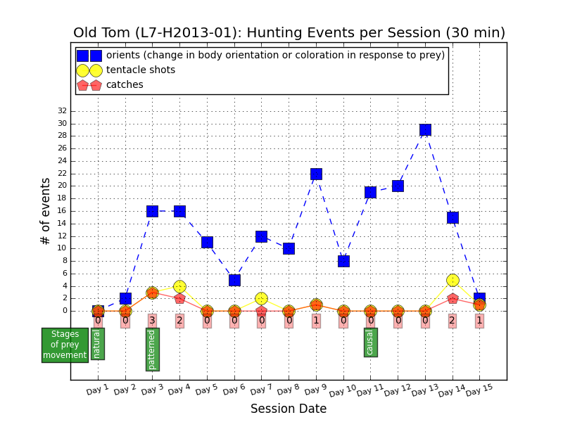 Hunting events by L7-H2013-01, aka Old Tom