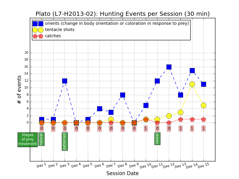 Hunting events by L7-H2013-02, aka Plato