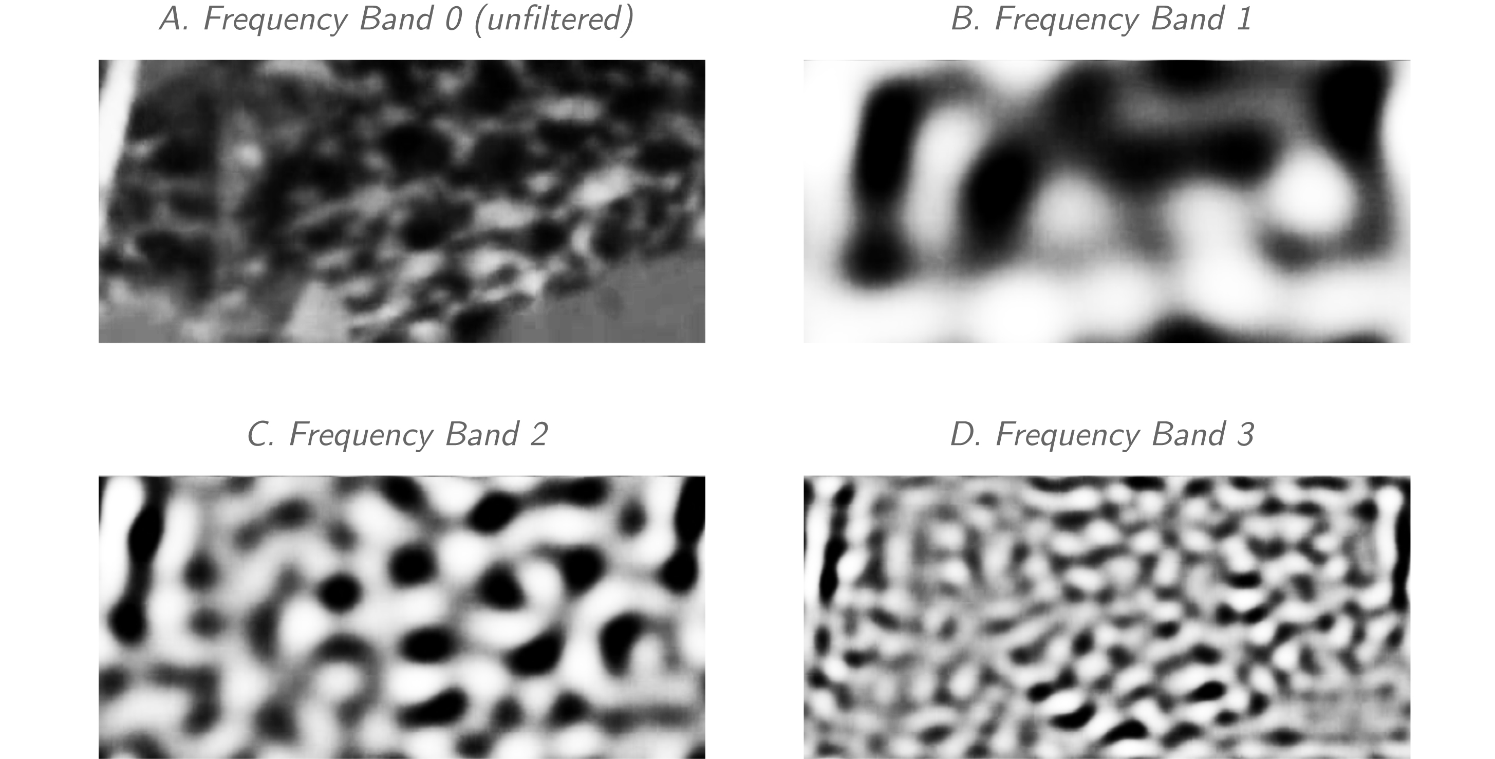 Example screenshot of mantle body pattern after filtering for analysis