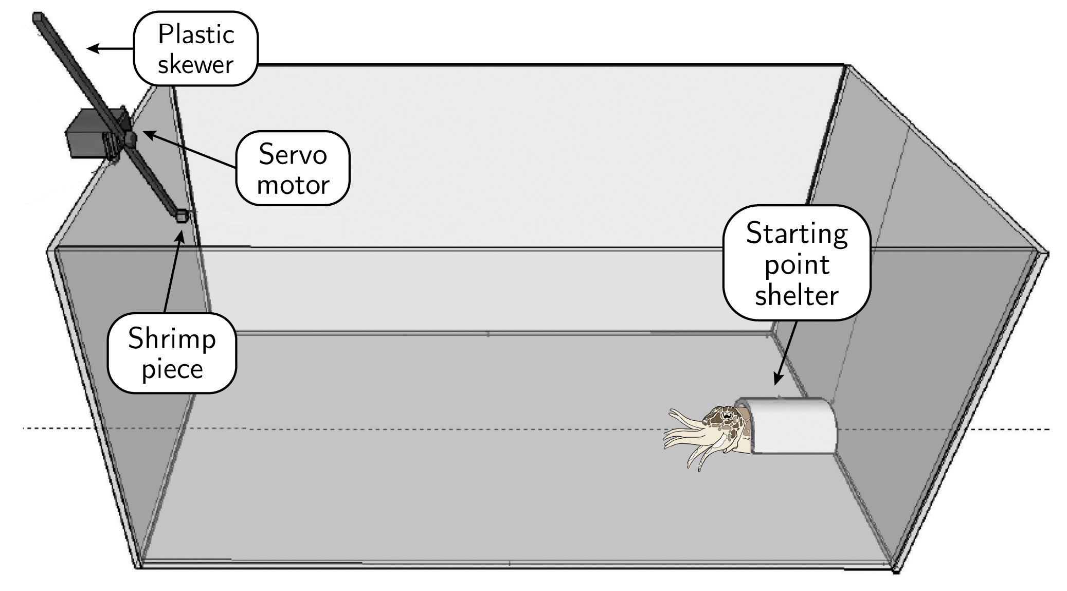 Experimental tank setup