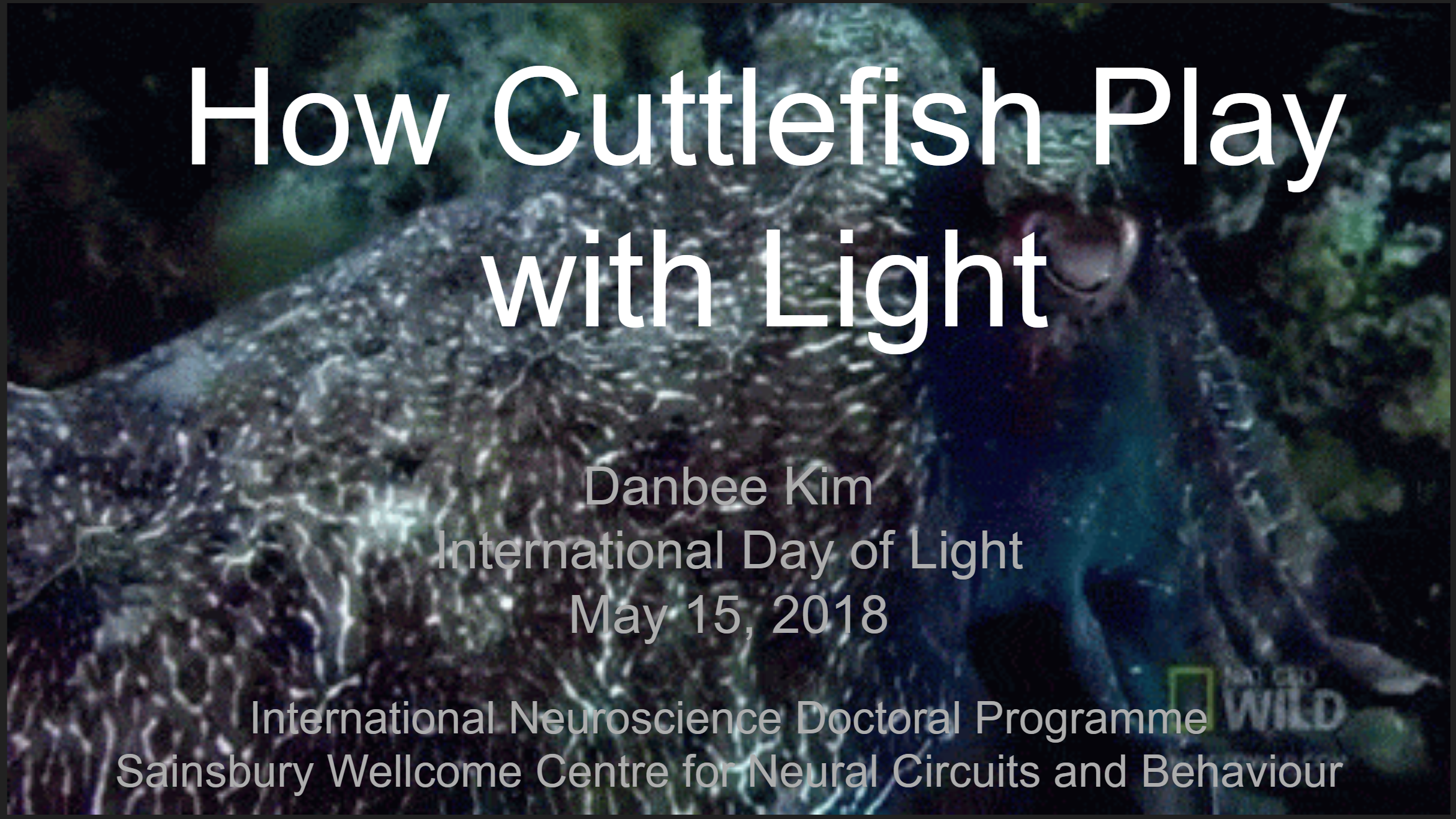 Danbee talks about cuttlefish at UCL's 2018 International Day of Light celebration.
